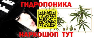эйфоретик Коммунар