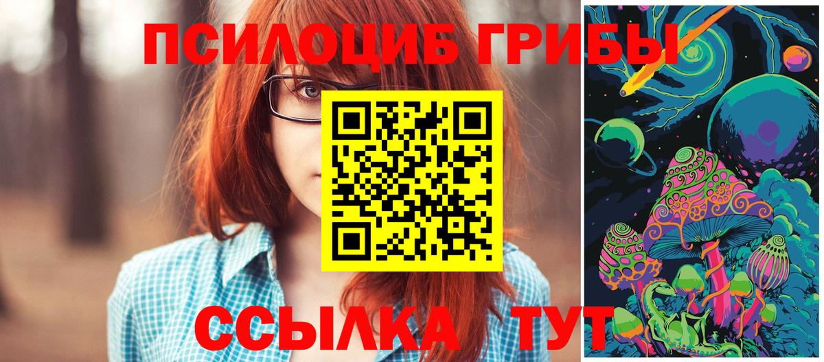 Чапаевск  Псилоцибиновые грибы Psilocybe  Вход с VPN 