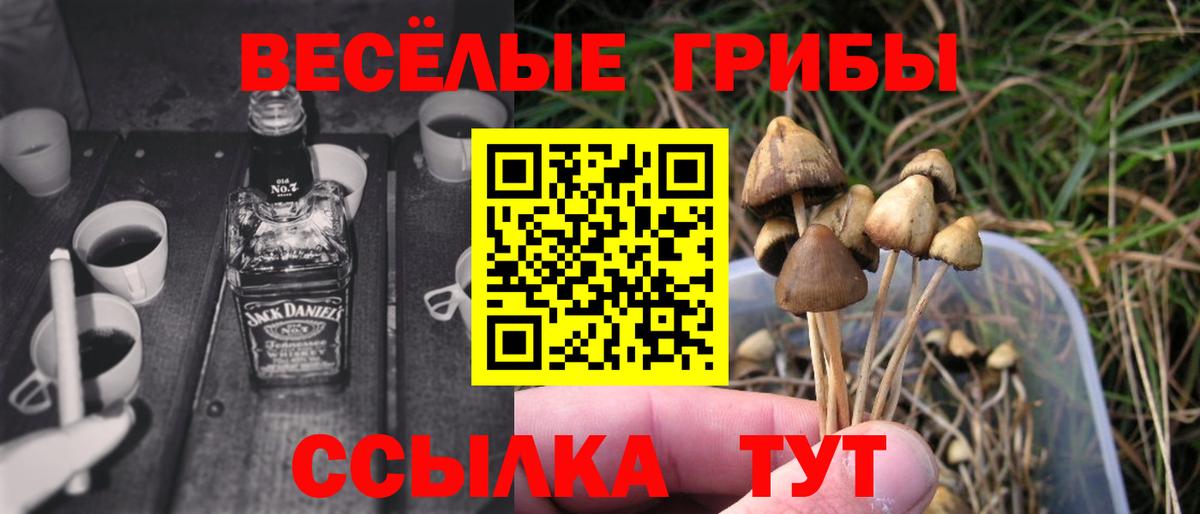 Псилоцибиновые грибы ЛСД Чапаевск